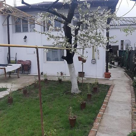 فندق House كرايوفا المظهر الخارجي الصورة
